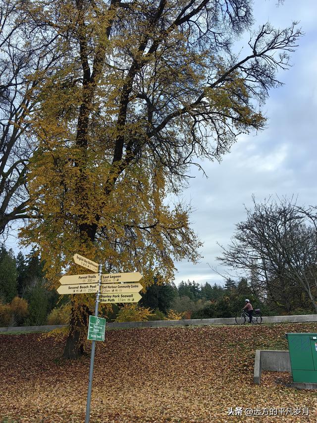 温哥华游记（一）