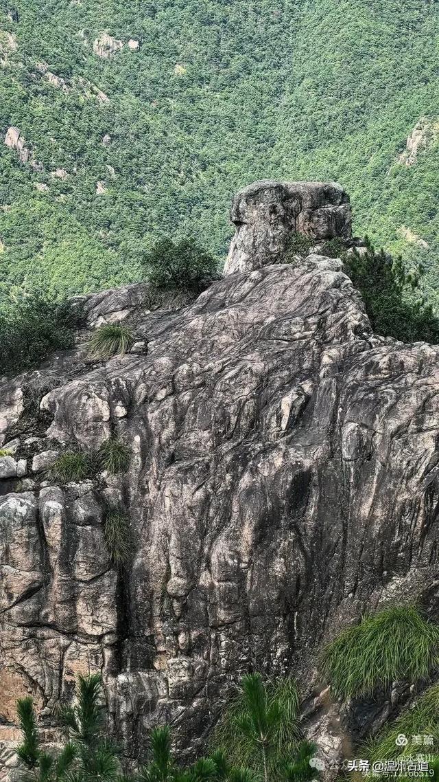 “浙南之巅”竟藏着以奇石景观著称的微缩版三清山，目前免费玩！