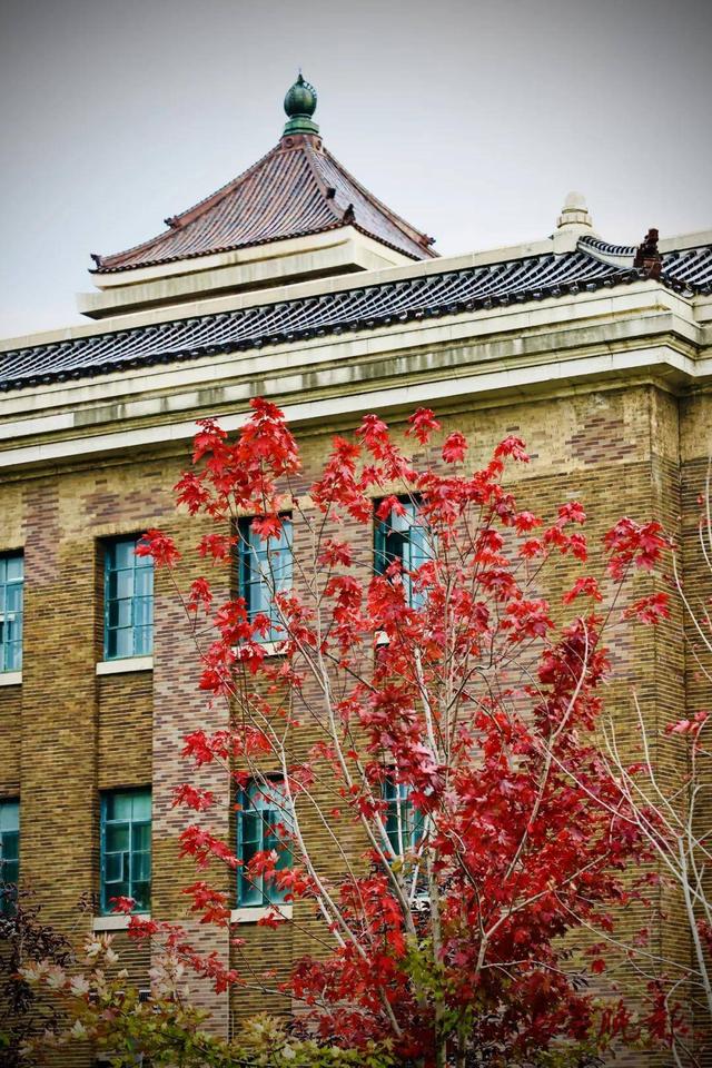 跟着央视镜头，一起去看长春秋日盛景