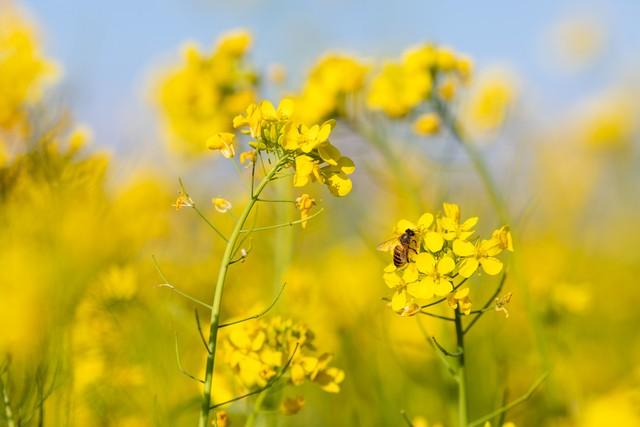 两性关系：年过68岁，不管身体多好，也要注意这5个活细节