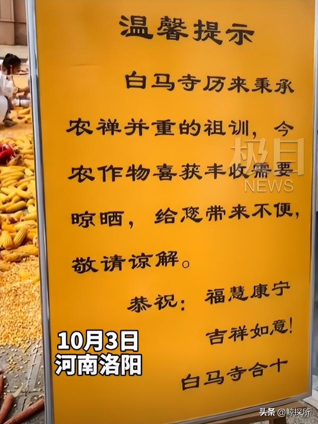 不到24小时，少林寺新住持就被各大网友质疑，连理由都出奇一致