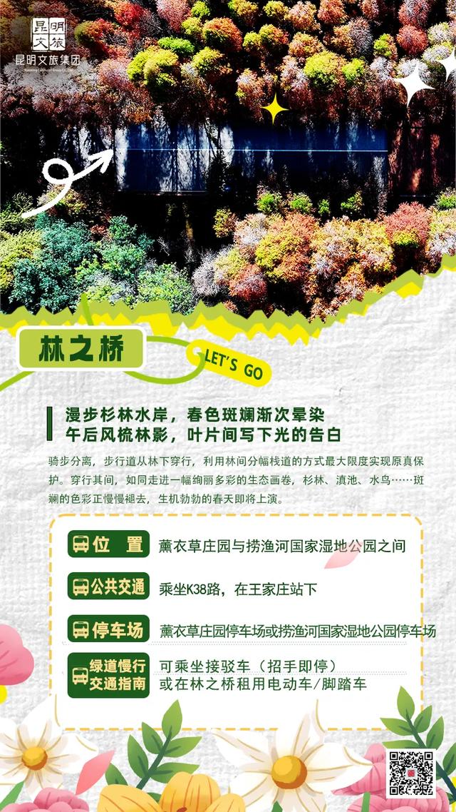 “人在画中游”！昆明这个湿地公园成“全民健身”热门打卡地