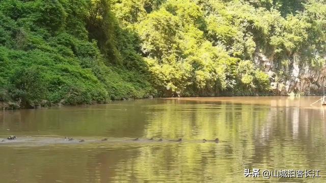 重庆新设两江新区，北碚“换”来5个文旅宝藏，到底是赚还是亏？