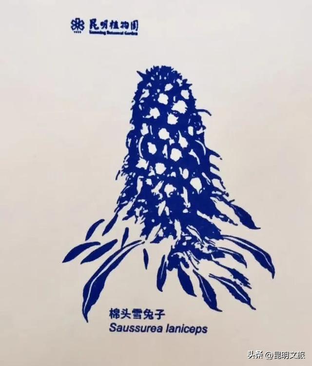 初冬出片C位！昆明这个地方必须榜上有名，周末抓紧冲~