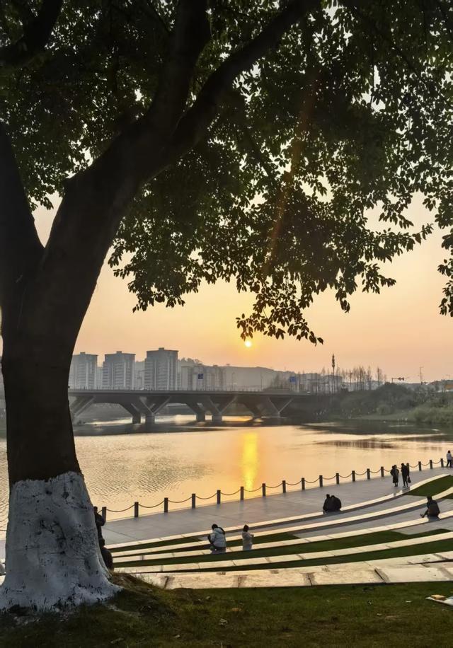 最高气温20℃!重庆人快来这些公园晒太阳