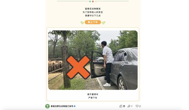 秦皇岛野生动物园猛兽区两车剐蹭，游客竟下车理论，老虎逼近瞬间头皮发麻！