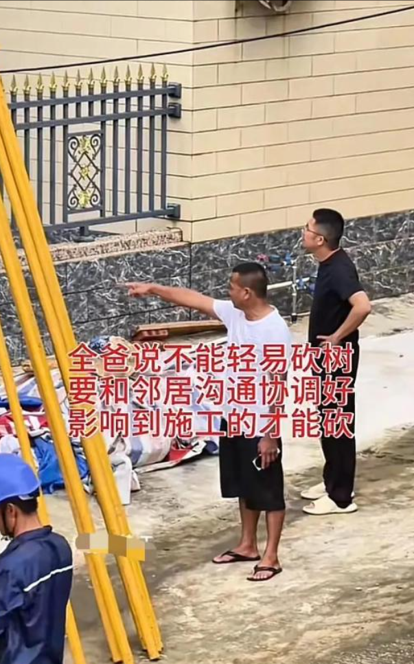 阻工大树已修剪！婵宝家建房全力加速中，网友表示祝贺与期待
