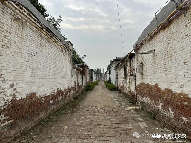 冠县乡韵·桑阿镇野场村