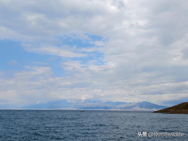 新疆明珠——赛里木湖