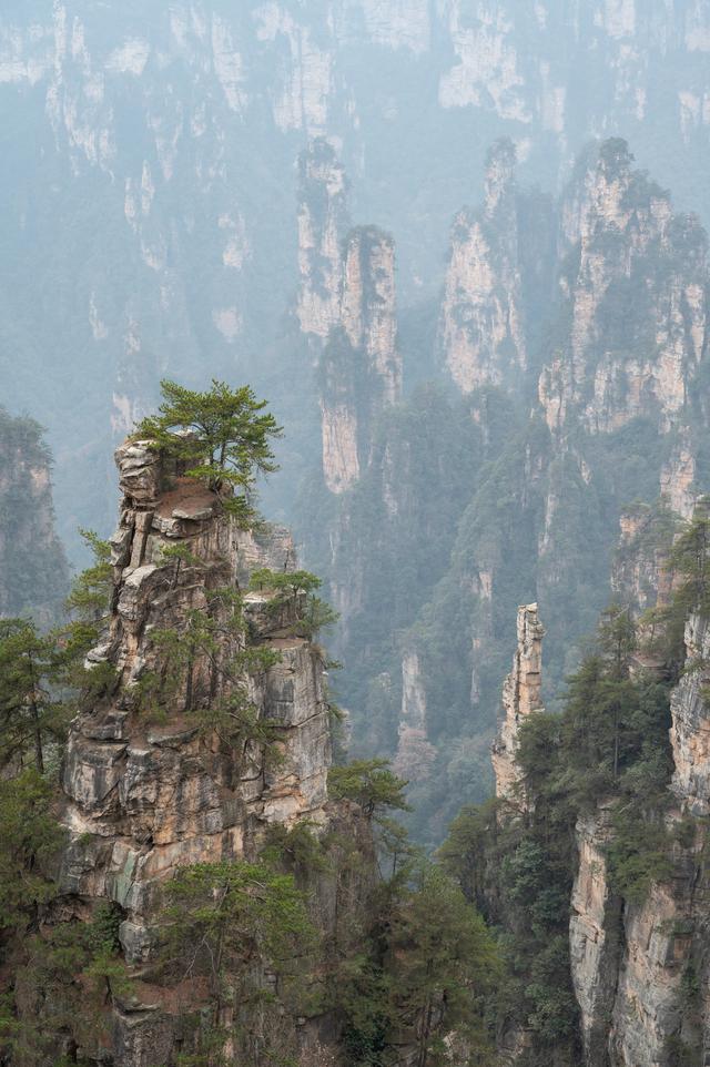 张家界国家森林公园——天地有大美而不言