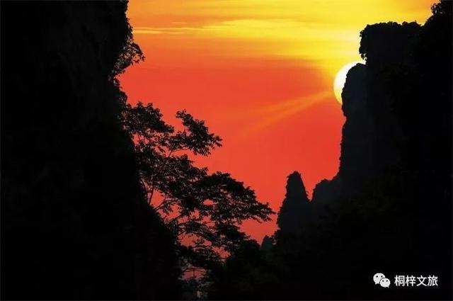 桐梓4条避暑康养路线，解锁你的夏日疗愈之旅！
