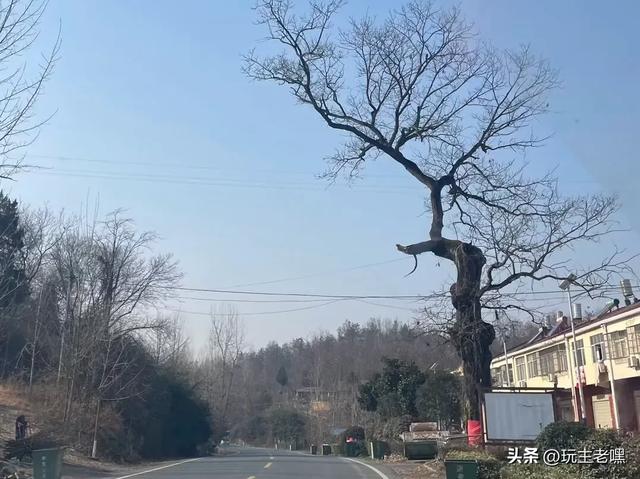 两广避寒1，从随州到荆州