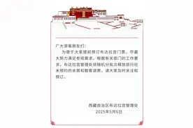 布达拉宫最新消息！图片