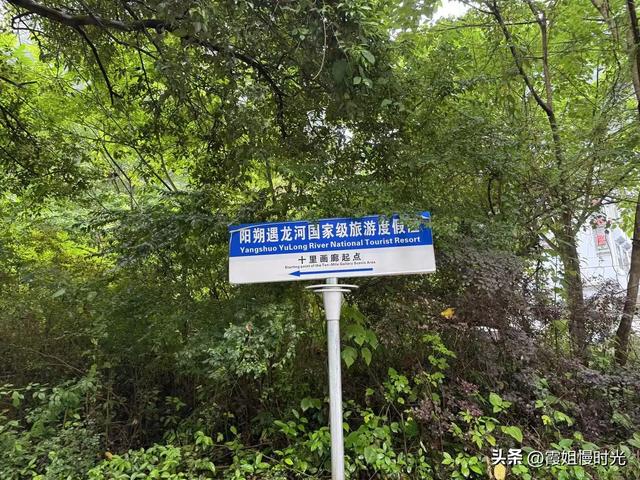 第一次骑行阳朔十里画廊