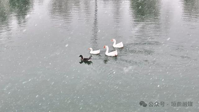 垣曲县迎来2025年入冬首场降雪 山城雪景成为“冬日限定”