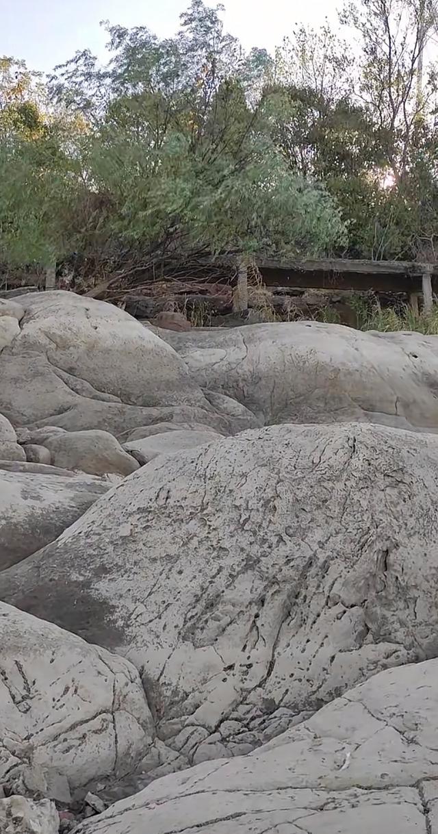 武汉的浦东新区--阳逻历史由来和发展历程探轶 人文新洲
