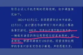 给重庆、吉林网友还原重庆大妈是否被撞的案件事实全貌图片