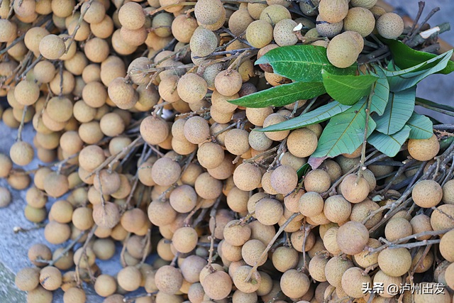 泸州泸县，值得专程为它来一趟！