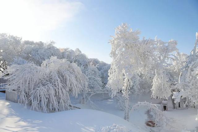 冬日亲子游,首选龙头山!打卡冰雪童话,承包全家欢乐时光~