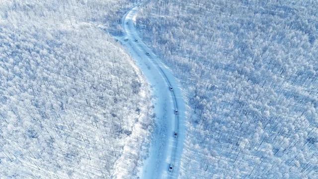 呼伦贝尔跻身TOP5！