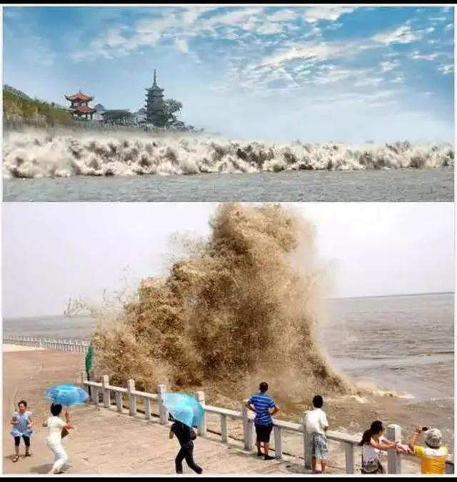 跟着蓝战非追潮，盐官一线潮的，特种兵