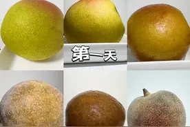 美食DIY | 云南人做的东北冻梨图片