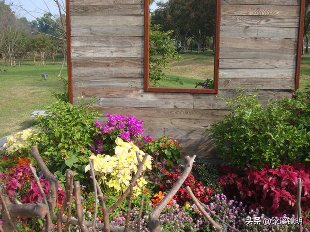 重阳时节，游苏州上方山（上）
