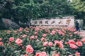 武汉高校合并最失败典型，连吞三所211却落选985，也未入选双一流图片