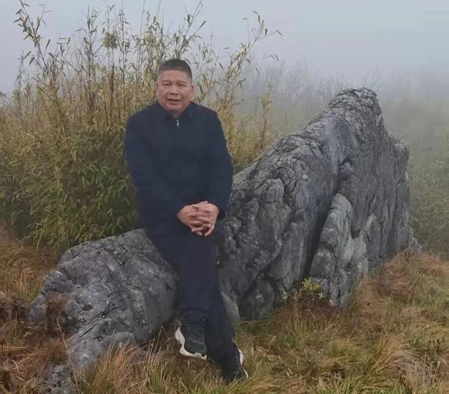 凤栖陶岭橘满坡