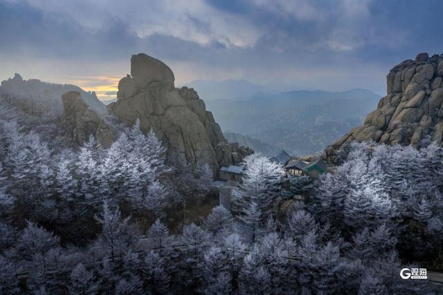 崂山迎来雾凇：石与松的素色禅意