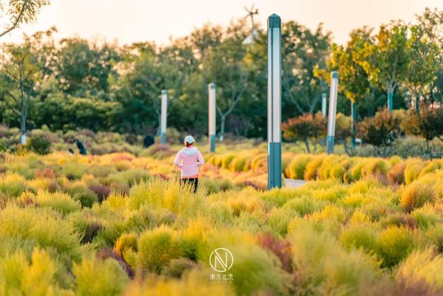 童话世界！深秋的生态城，美成了一幅画