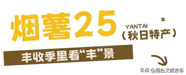 【乐游烟台】丰收季，烟台秋日采摘全攻略来啦！
