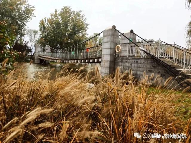 全部免费！渭河南河堤路赏秋攻略大全，那风景简直美爆了！