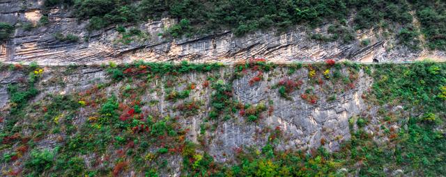 上坝彩林 彩林坝上