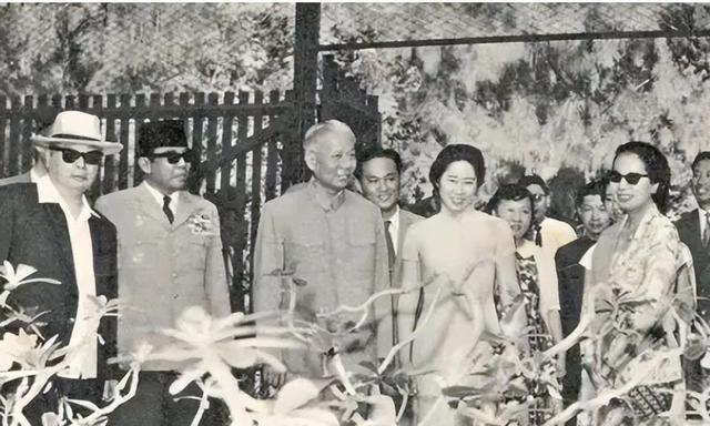 2004年毛、刘两家聚会，王光美说出一句话，李敏李讷顿时红了眼眶