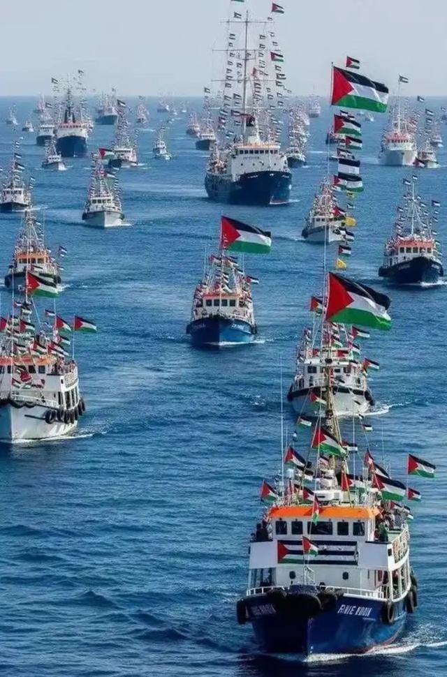 官员被逮捕，总统遭通缉！土耳其叫板以色列，加沙局势要变天