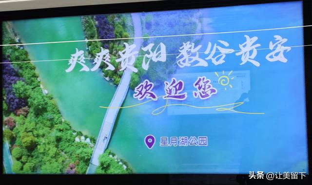 贵州贵安新区星月湖的睡莲和荷花，很壮观