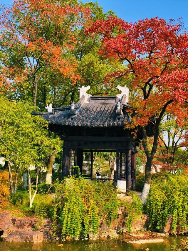 逛起来！8小时10个公园！