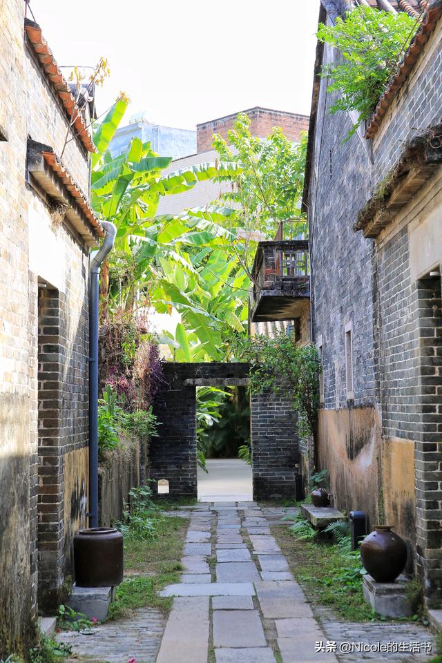 稻浪浸温汤，古村藏清欢