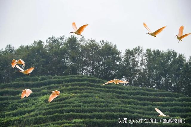 国庆来西乡，四条秋季绝美路线解锁“秦巴小江南”的治愈力