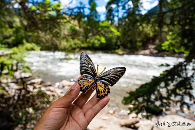 不允许还有人不知道！春天这样收藏微缩版西藏墨脱，太绝了！