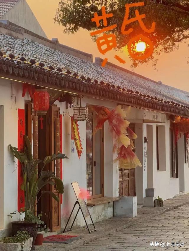 “乡”遇奉贤·青村镇篇丨拒绝假期特种兵！我选择在青溪当一名“慢生活博主”