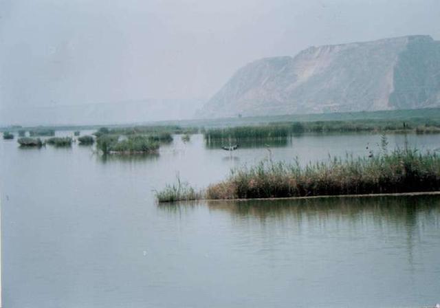陕西这座千年小城藏不住了！黄河湿地、诗经之乡，西安出发2h直达