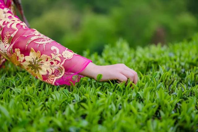 腾冲2026年度文旅活动主题发布，月月有惊喜！