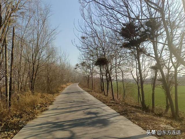 洨河笔记：赵州桥西边的这一段洨河