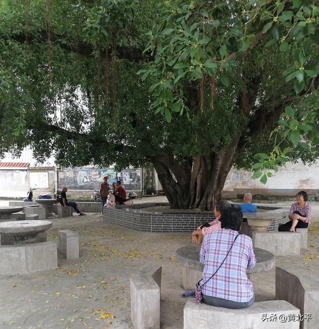 广西南宁市上林县名字独特的村庄，人杰地灵而誉为“岭南状元村”