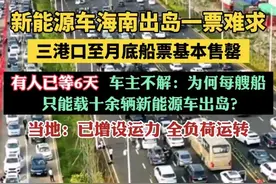 新能源车主在海南等了3天买不到车船票，我却笑死在评论区！图片