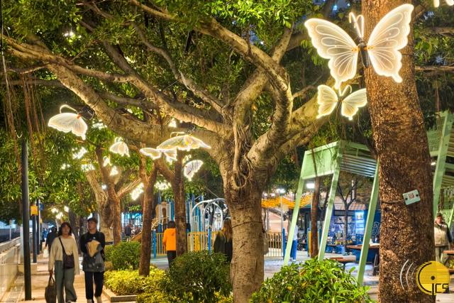 【相聚此周】旅游+盛事 │ 2025澳门国际光影节