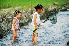 曾经农村常见小动物，现却“销声匿迹”？对我们来说是好事坏事？图片