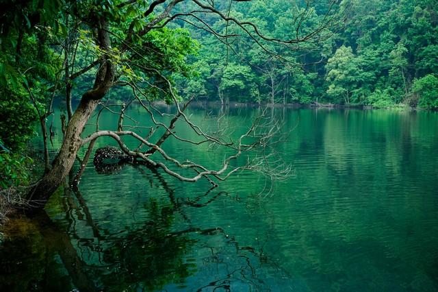 藏在赣北的秋日秘境：永修三山，遇见最诗意的江南